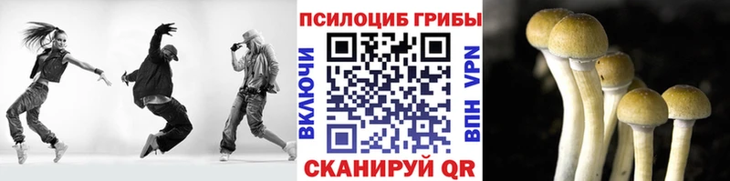 omg зеркало Сусуман Галлюциногенные грибы ЛСД